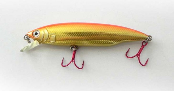 A isca Kikuchi Minnow é uma famosa isca japonesa.